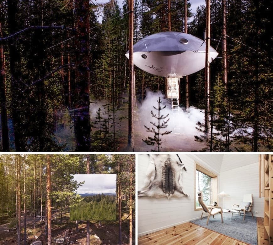 Place Treehotel