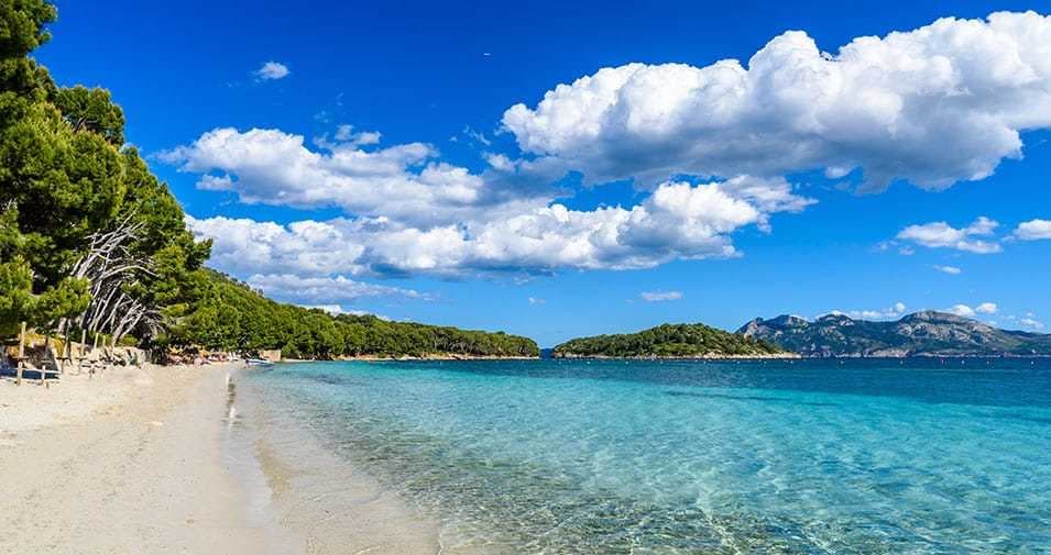 Place Calle Playa de Formentor