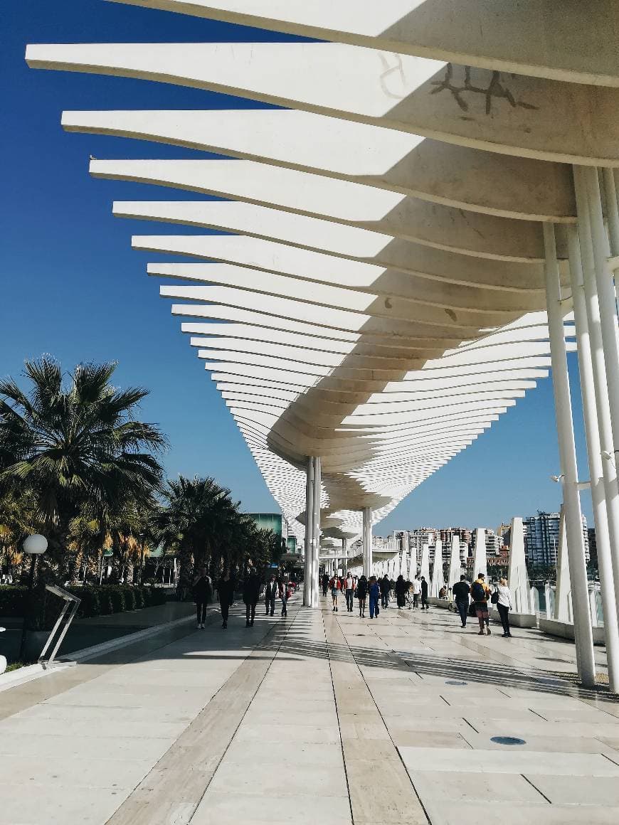 Place Puerto de Málaga