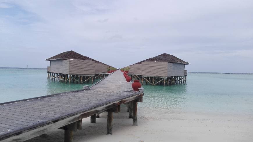 Place Meeru Island Resort & Spa