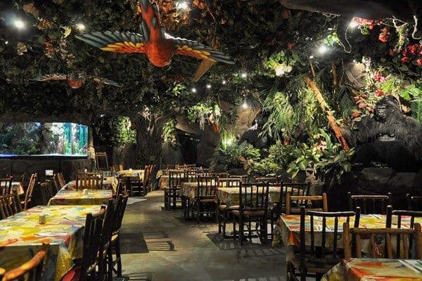 Restaurantes Rainforest Cafe