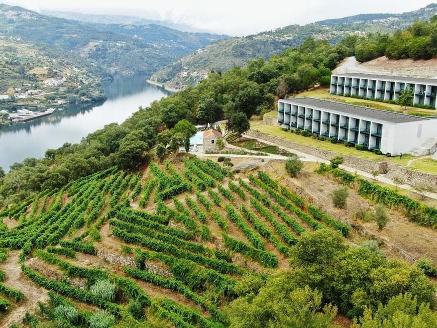 Lugar Douro Palace Hotel Resort & Spa