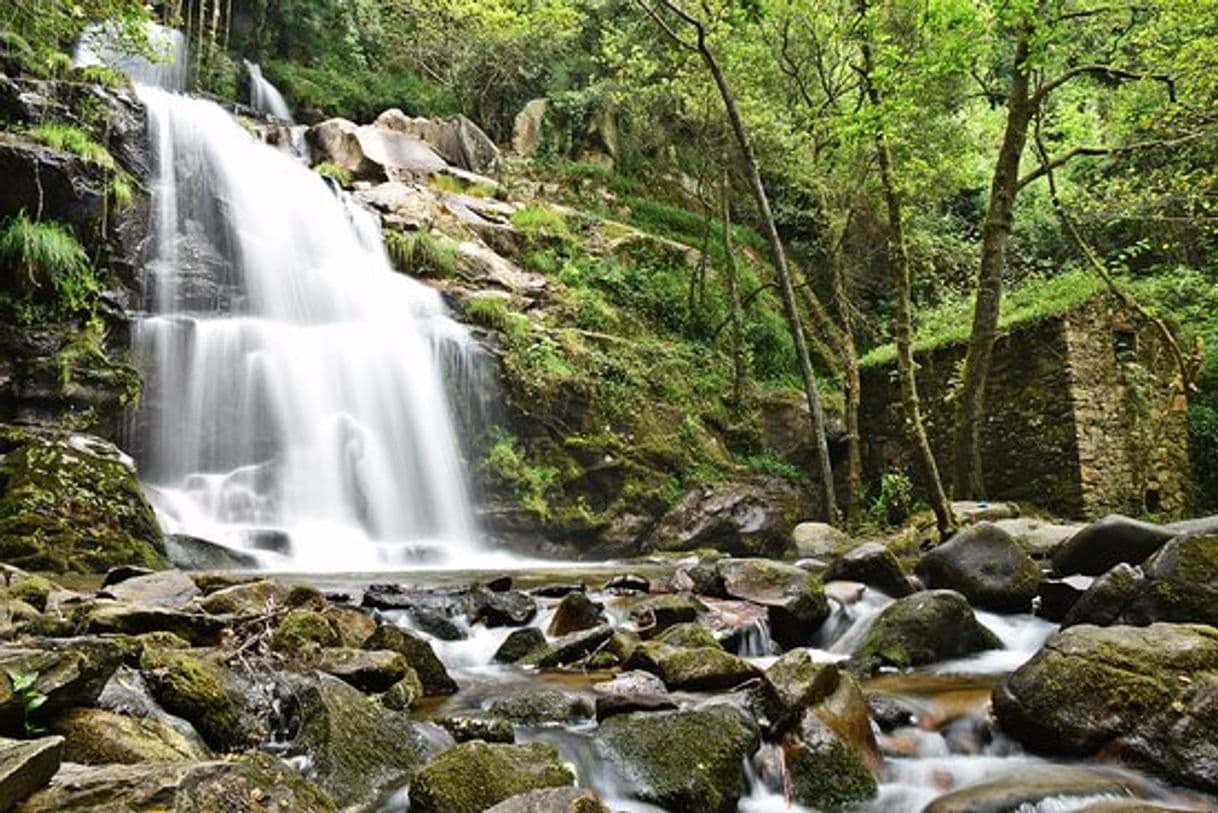 Lugar Parque da Cabreia