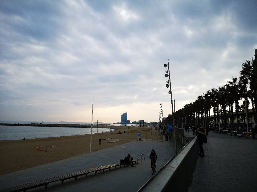 Lugar Playa de la Barceloneta