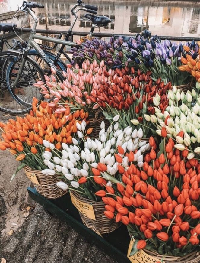 Lugar Bloemenmarkt