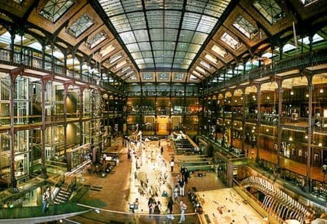 Lugar Museo nazionale di storia naturale di Francia