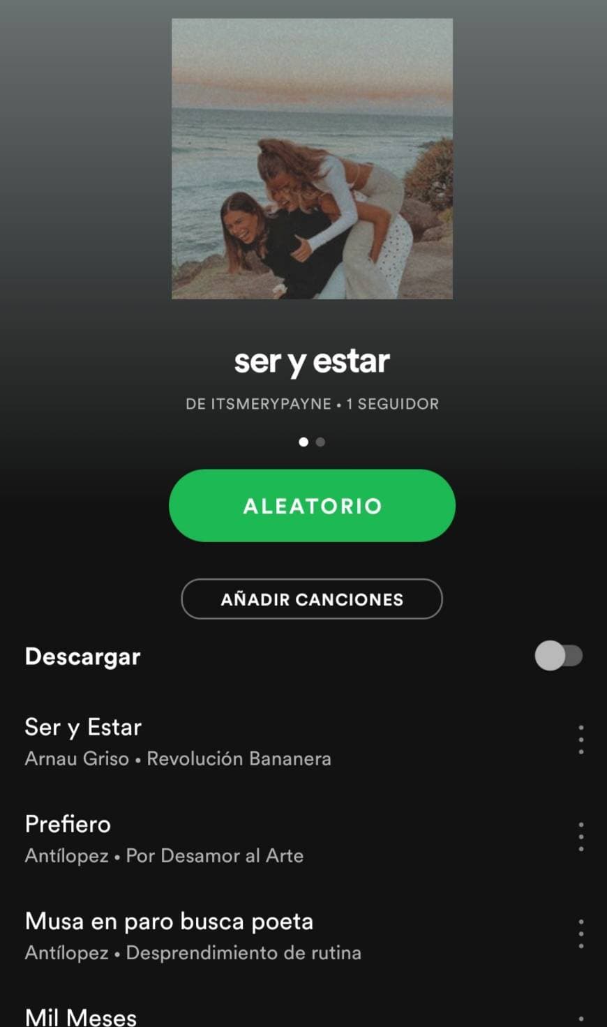 Canción ser y estar