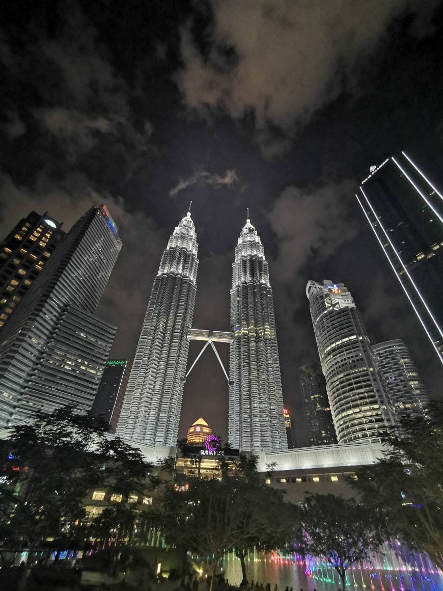 Place Petronas Twin Towers