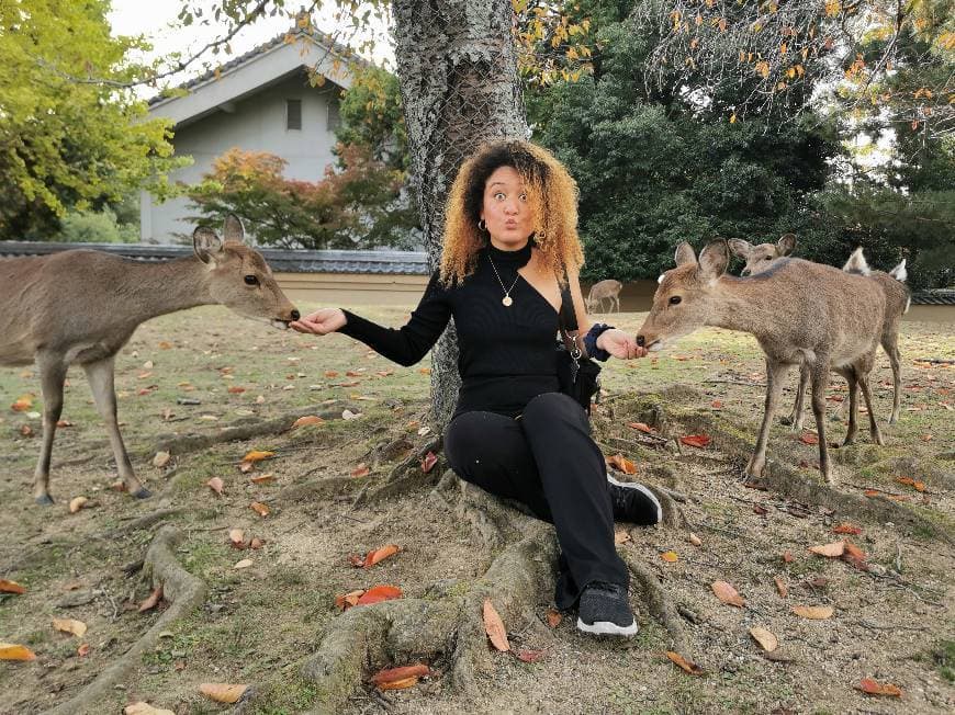 Place Nara Park