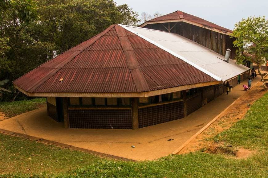 Lugar Tekoa Kalipety - Aldeia Guarani - Terra Indígena Tenondé Porã