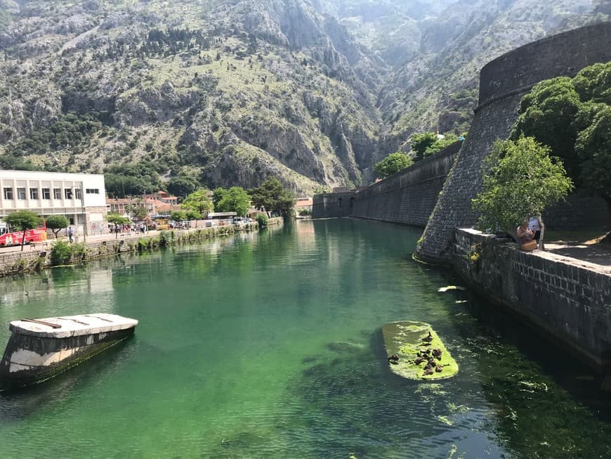 Place Kotor