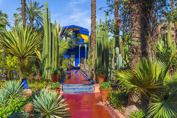 Lugar Jardín Majorelle