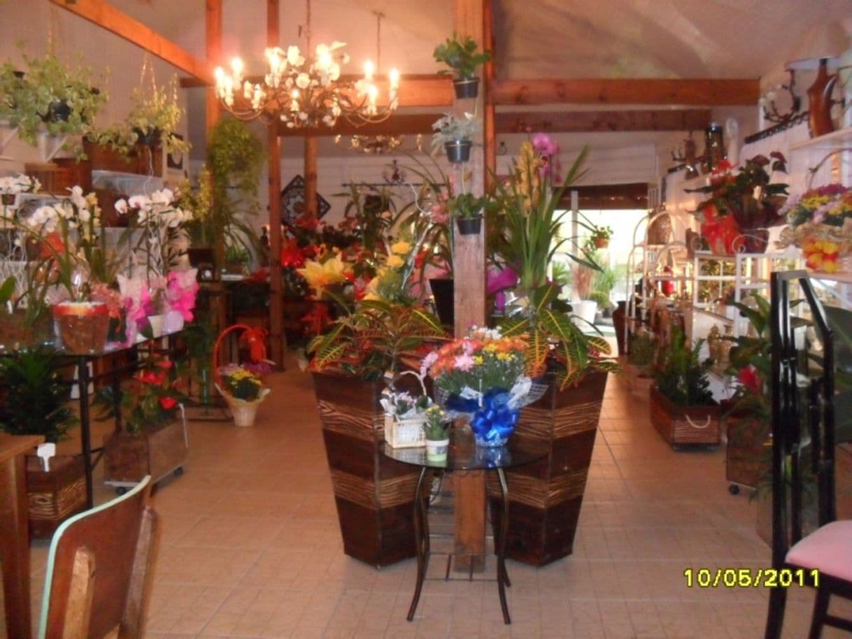 Fashion Floricultura em Curitiba 5*