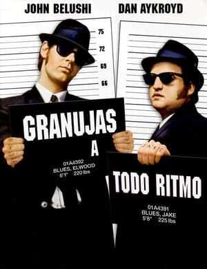 Movie The Blues Brothers