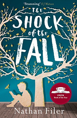 Book The Shock of the Fall