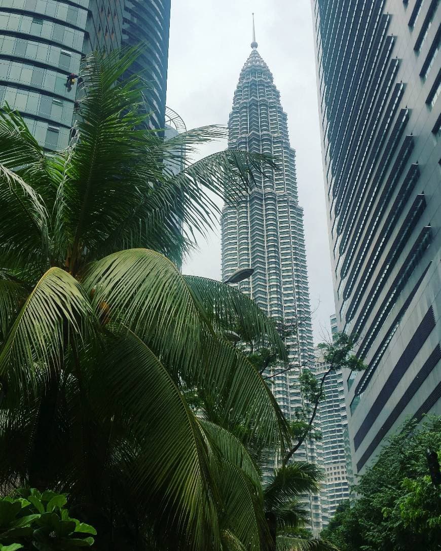 Place Petronas Twin Tower