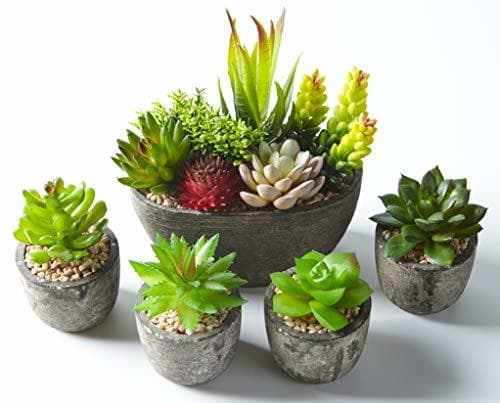 Product Jobary 5pcs Plantas Suculentas Artificiales Falso Plantas Decorativas Suculentas，Ideal para el Hogar