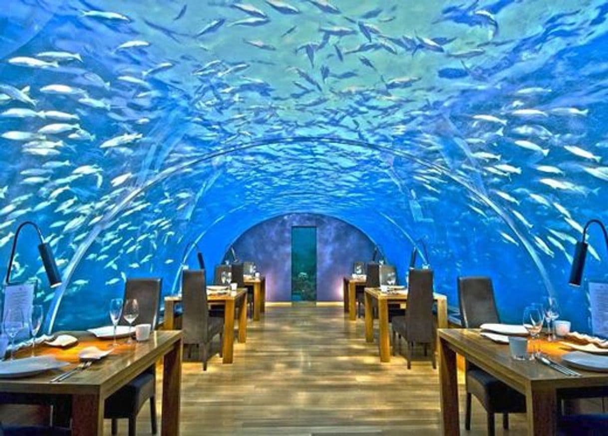 Restaurantes Ithaa Undersea Restaurant