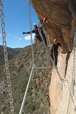 Fashion Ferrata Cagate Lorito