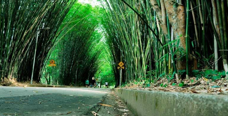 Lugar Parque Ibirapuera