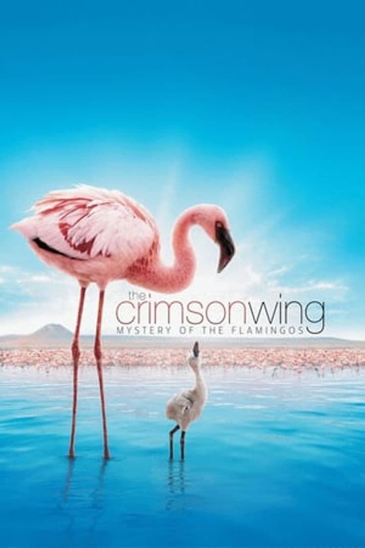 Película The Crimson Wing: Mystery of the Flamingos