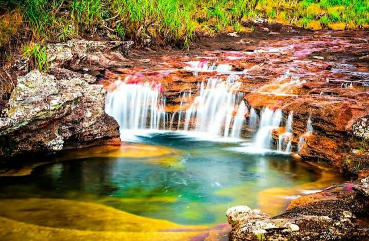 Place Caño Cristales