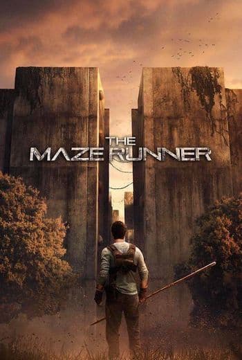 Moda Maze Runner