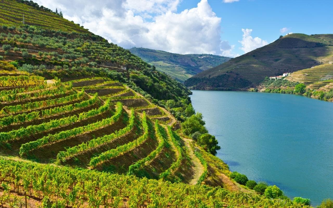 Lugar Douro