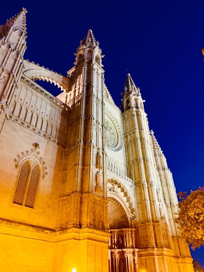 Place Catedral-Basílica de Santa María de Mallorca