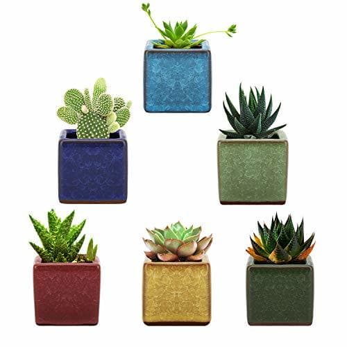 Product Lewondr Succulents Flowerpots