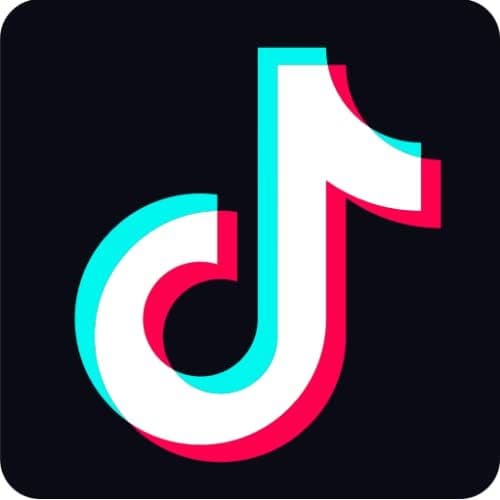 Electronic TikTok