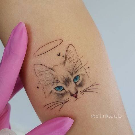 Moda Gatinho