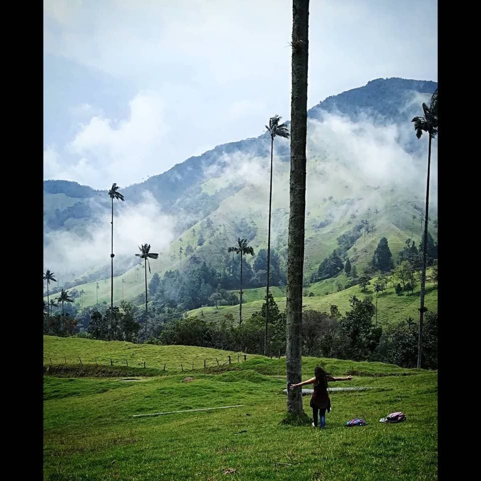 Restaurants Valle Del Cocora