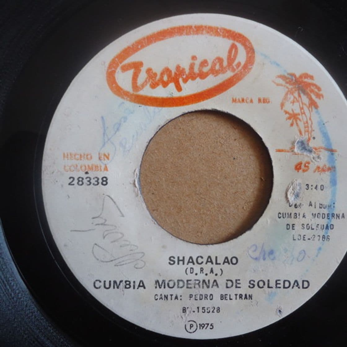 Music Shacalao - cumbia moderna de soledad