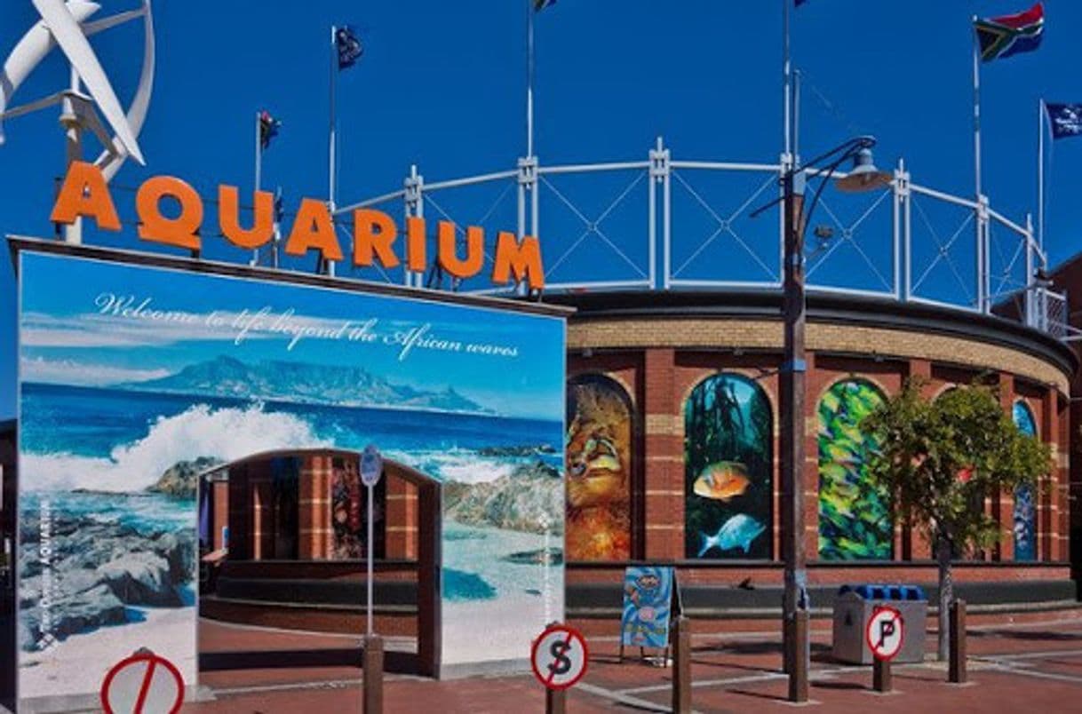 Lugar Two Oceans Aquarium