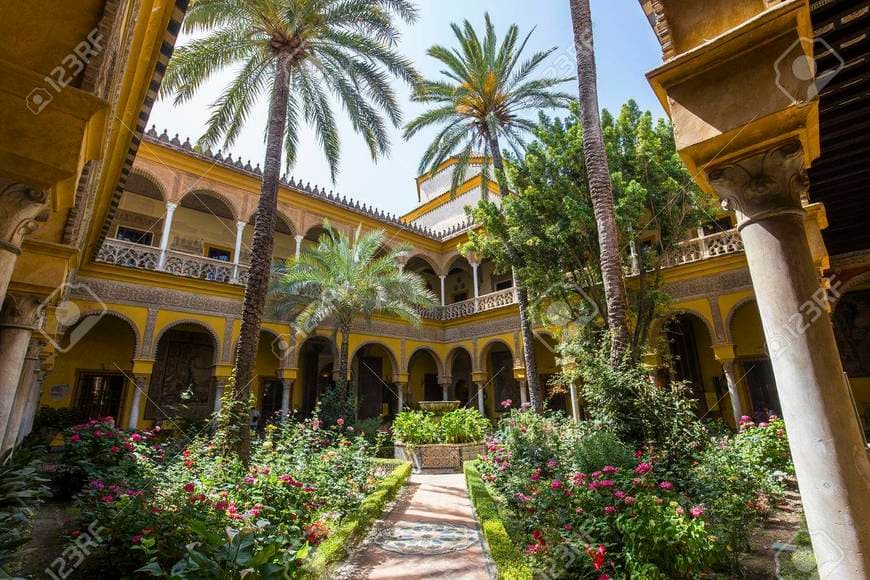 Place Palácio Las Dueñas - Casa de Alba