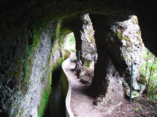 Lugar Levadas Madeira | Walking in levadas Madeira Guide - Booking levadas