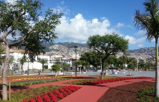 Lugar Avenida Do Mar