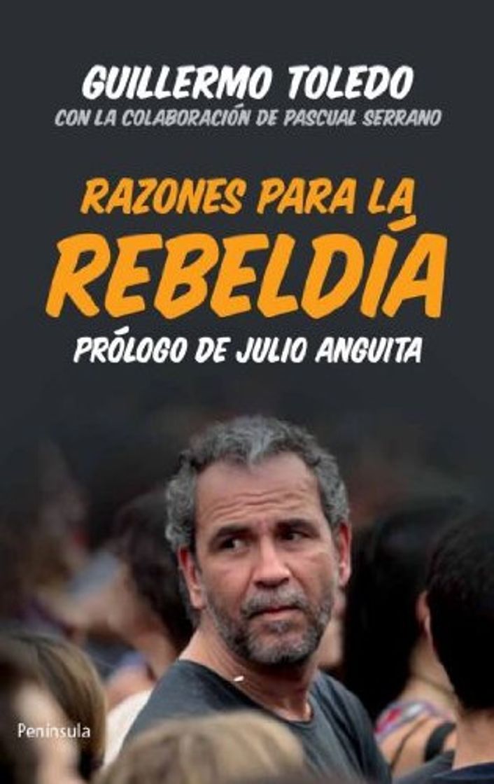 Book Razones para la rebeldía: Prólogo de Julio Anguita