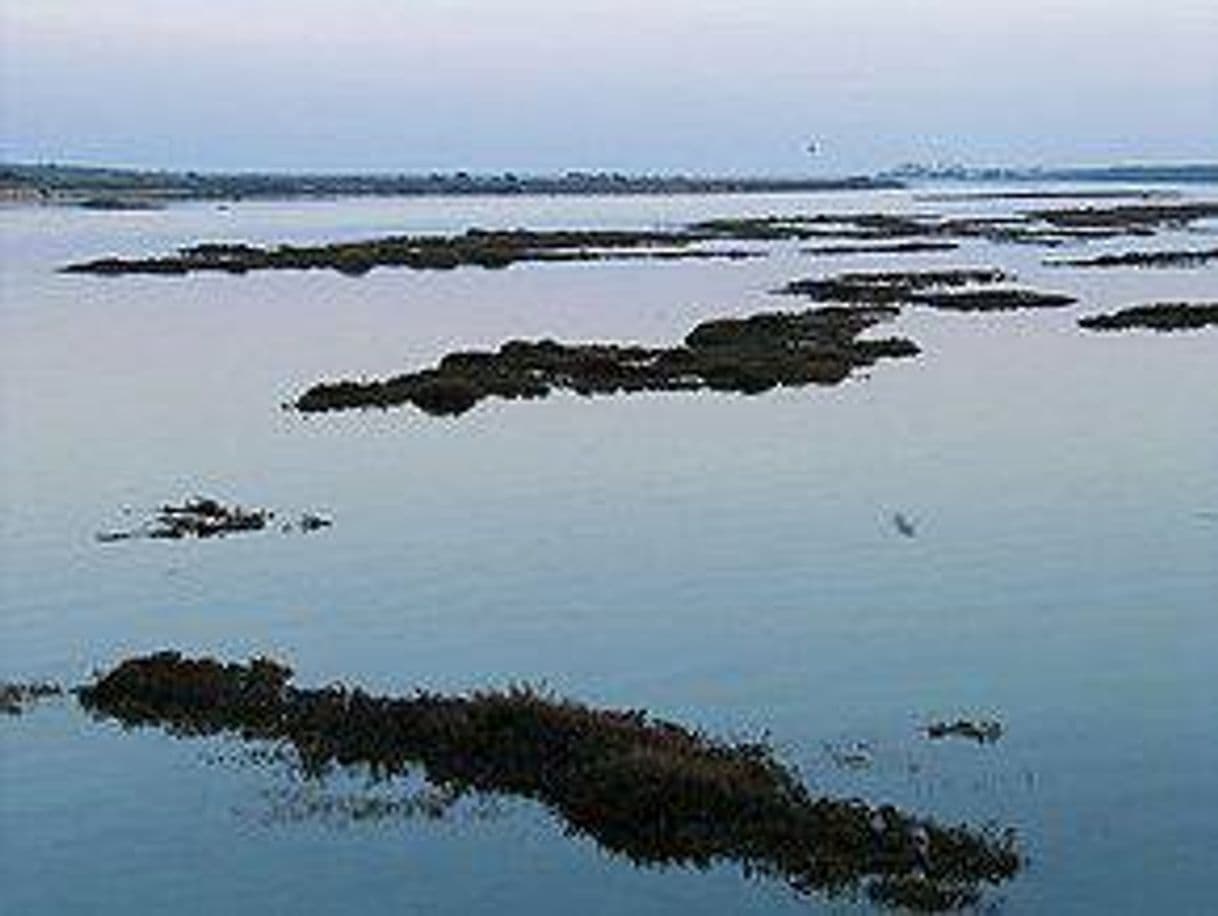 Lugar Ria Formosa Natural Park