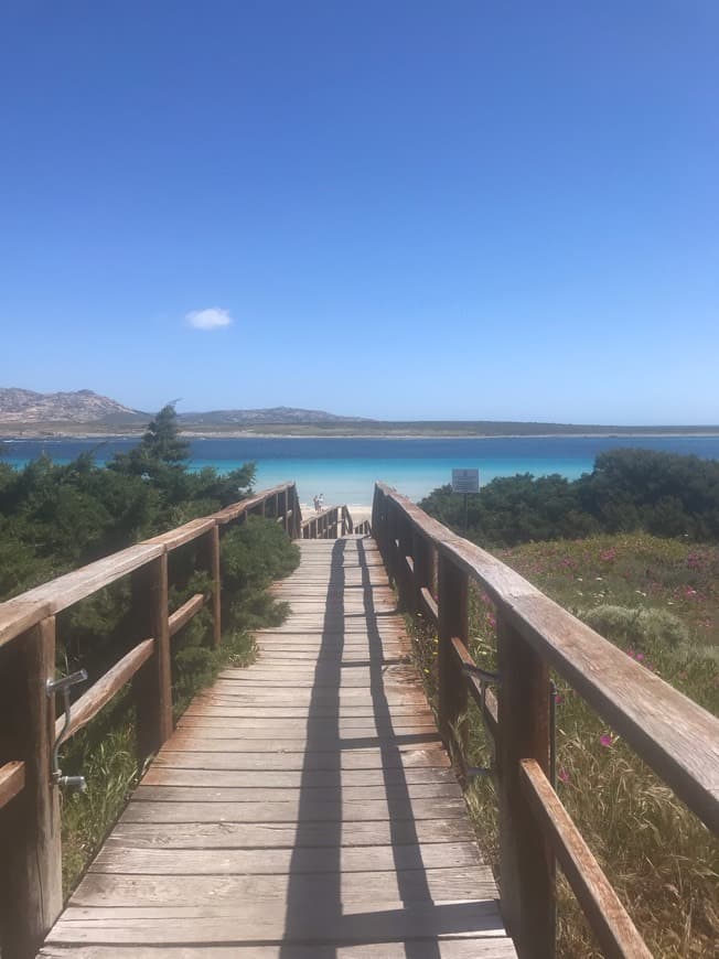 Place Spiaggia La Pelosa