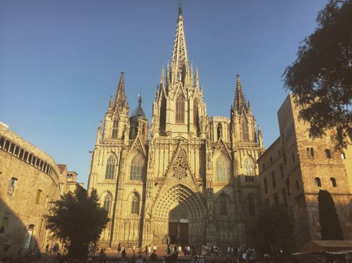 Lugar Museu de la Catedral de Barcelona