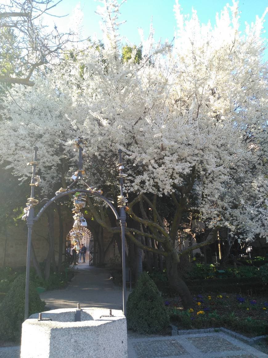 Place Huerto de Calixto y Melibea