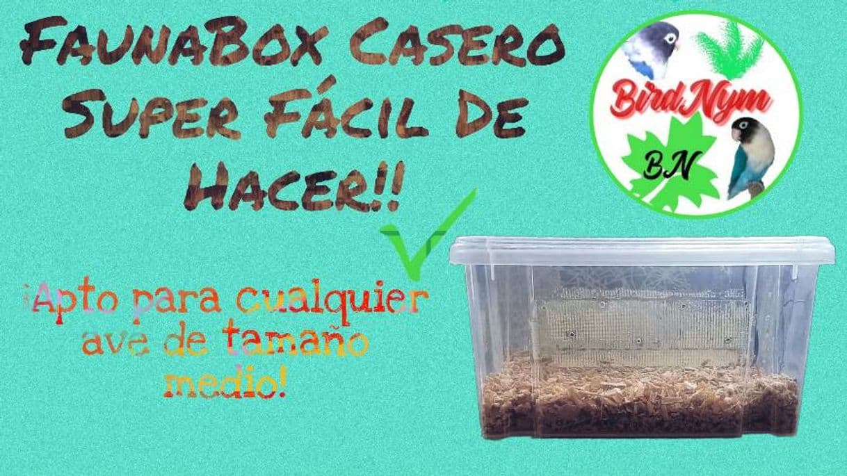 Moda Como hacer un FaunaBox casero muy fácil y rápido! - YouTube