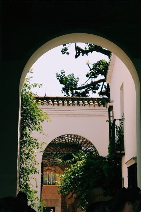 Lugar Real Alcázar de Sevilla