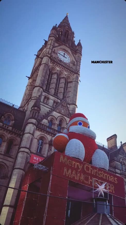 Place Manchester Town Hall