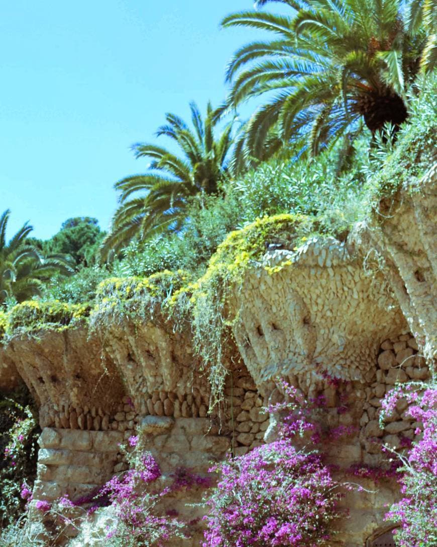 Lugar Parque Guell