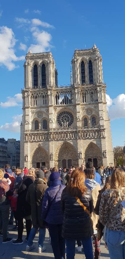 Place Catedral de Notre Dame