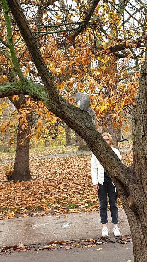 Place St. James's Park