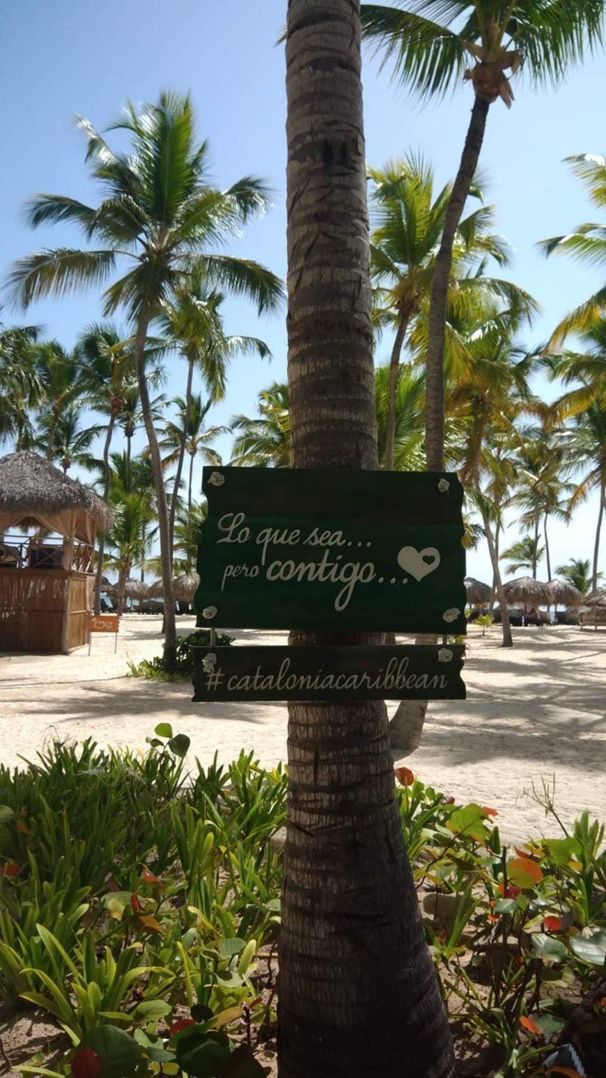 Place Catalonia Bavaro Beach, Golf & Casino Resort